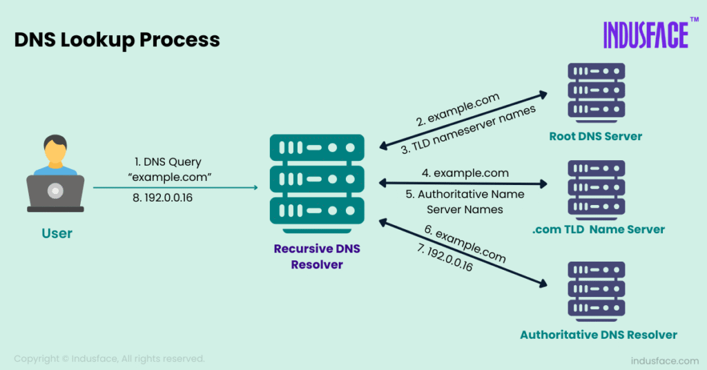 DNS